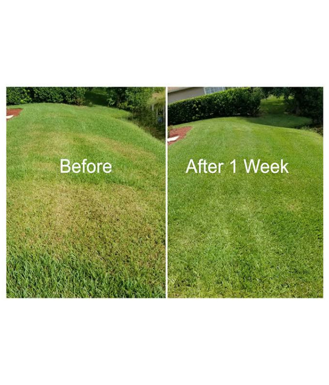 OCT-HUMAX 98% ( Humic Acid Flakes )